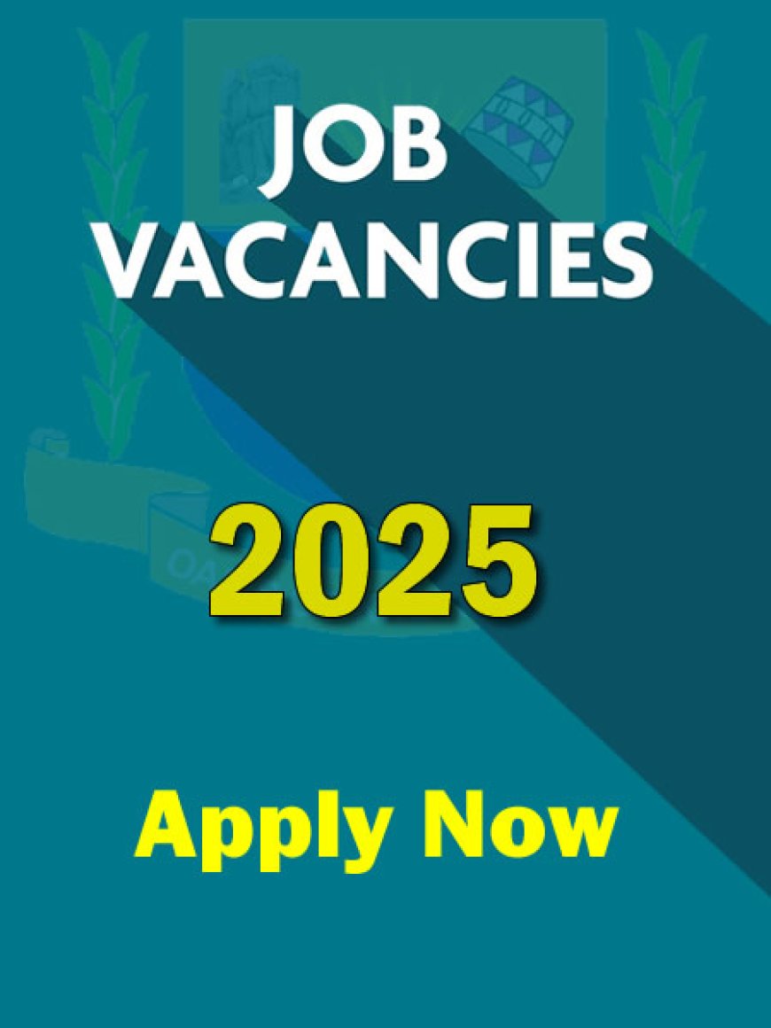 2025 Job Vacancies