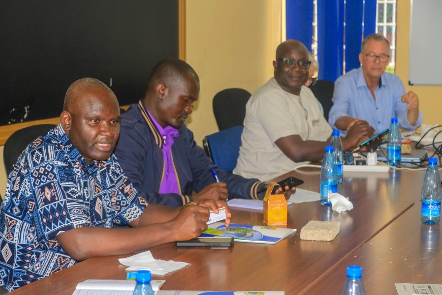 Strengthening International Research Collaboration and Innovation