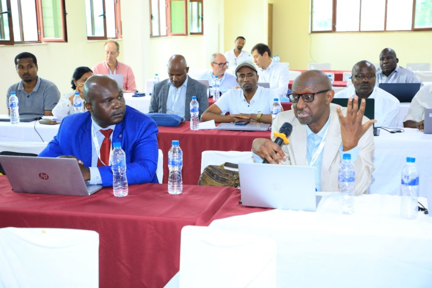 JOOUST at the IMPACT-HE Consortium Meeting in Ethiopia