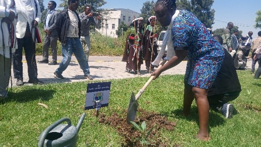 JOOUST Participates in the Third MAINSTREAM Mobility Programme at Arsi University, Ethiopia