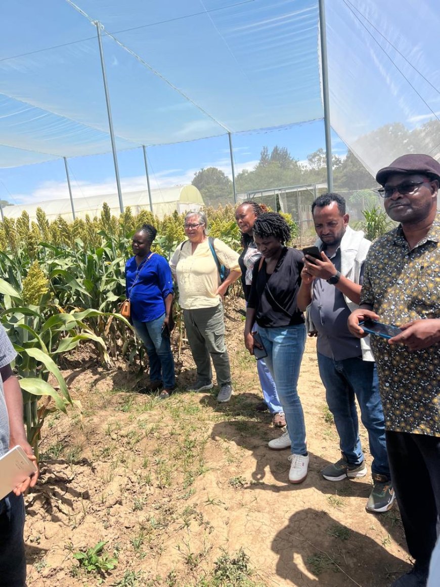 JOOUST Participates in the Third MAINSTREAM Mobility Programme at Arsi University, Ethiopia